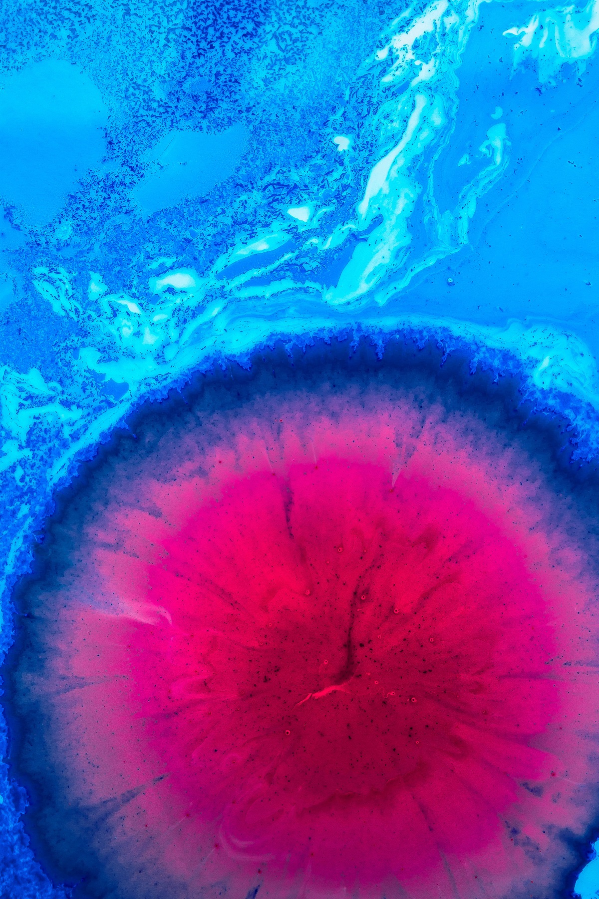 Joel Filipe 195321 Unsplash Joel Filipe 195321 Unsplash