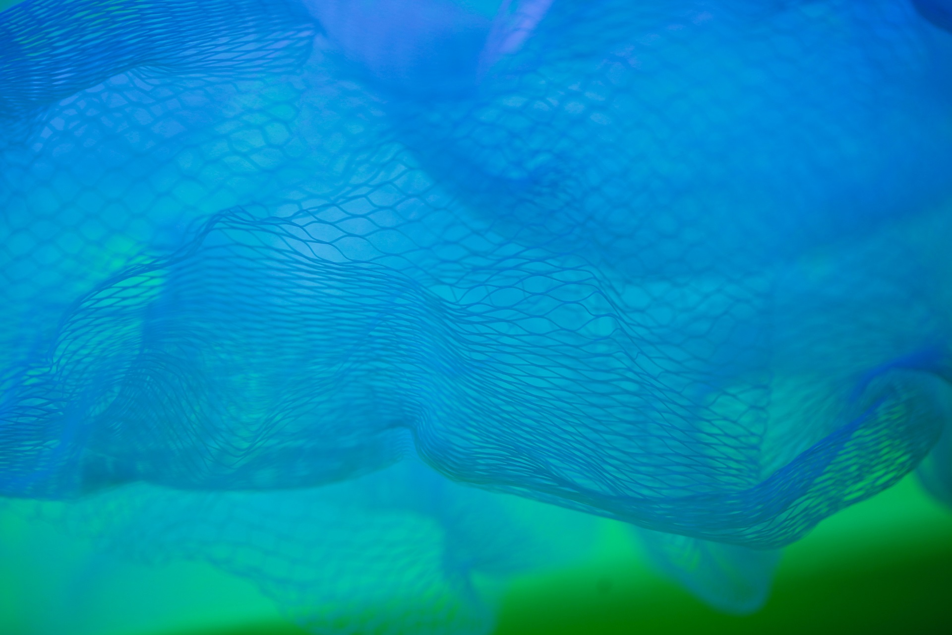 Pietro Jeng 266016 Unsplash Pietro Jeng 266016 Unsplash