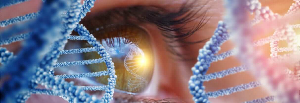 Eyevensis Eye Gene Therapy Approval France Min Eyevensis Eye Gene Therapy Approval France Min