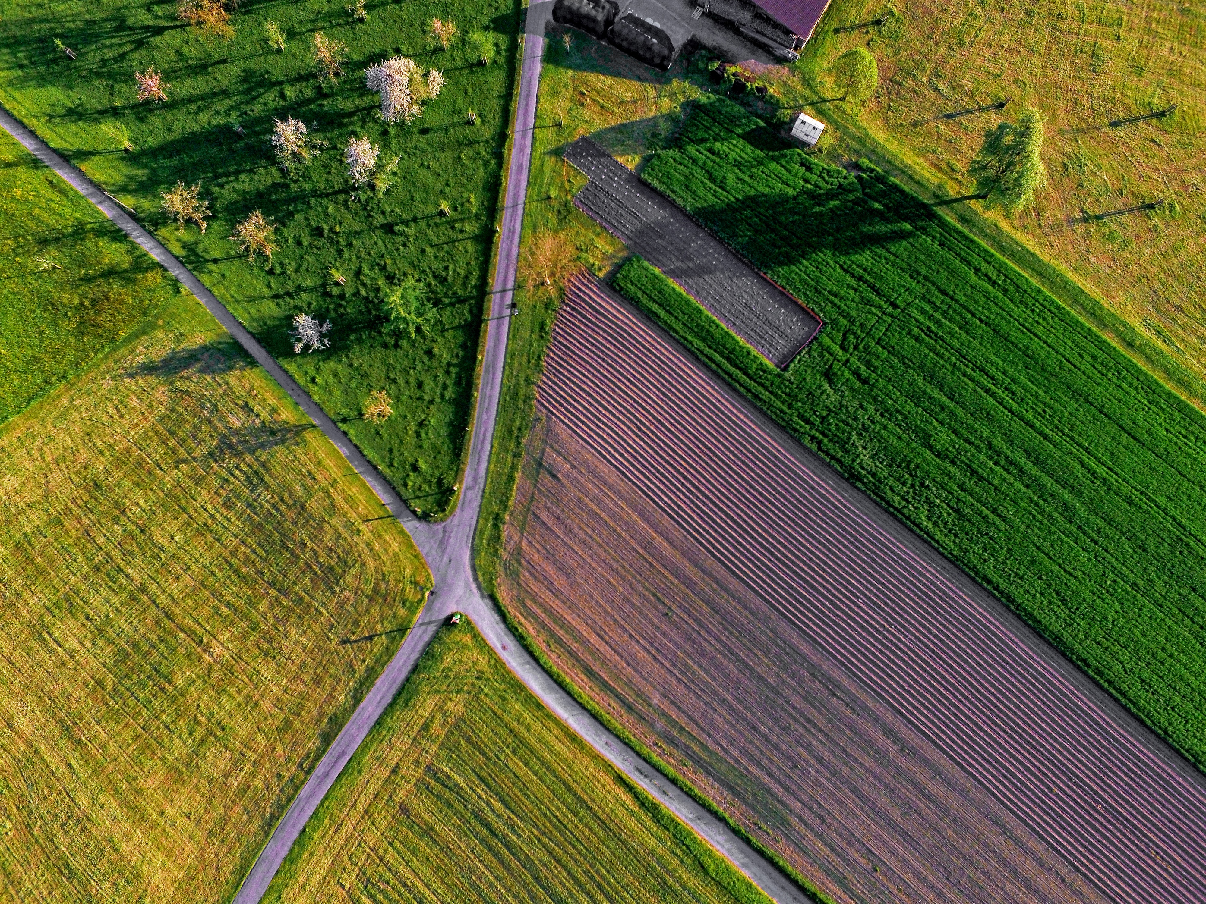 Ricardo Gomez Angel TbwnUGV4kok Unsplash A l’heure où Bpifrance prépare un grand plan DeepTech pour le compte de l’Etat, retrouvez, dans cet article, les projets de rupture FoodTech et AgriTech accompagnés par la direction de l’innovation de Bpifrance ces 5 dernières années.