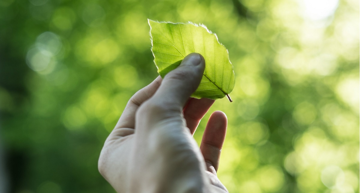 Tobias Weinhold HXPomXrpUP0 Unsplash Sized mapping cleantech greentech france