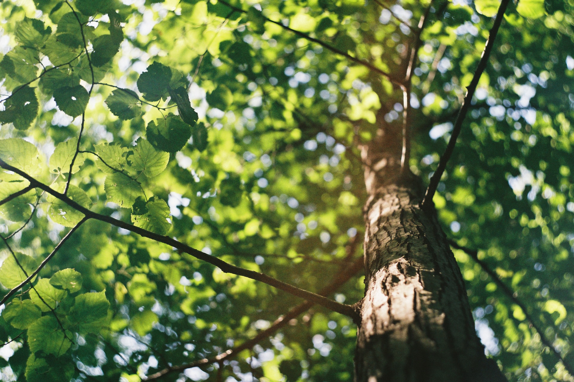 David Vig QwHHOC2z5Xs Unsplash David Vig QwHHOC2z5Xs Unsplash