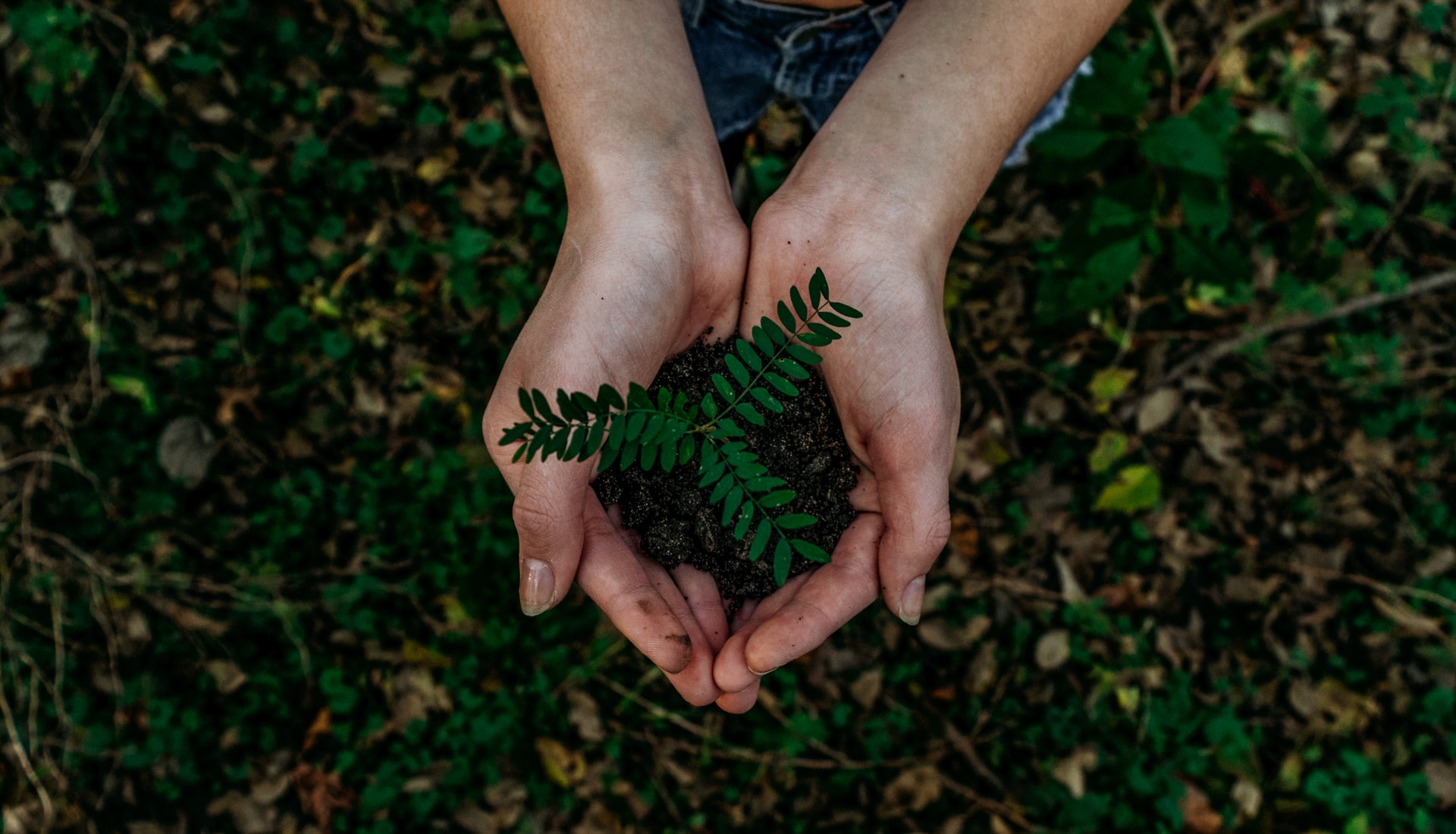 Noah Buscher X8ZStukS2PM Unsplash Noah Buscher X8ZStukS2PM Unsplash
