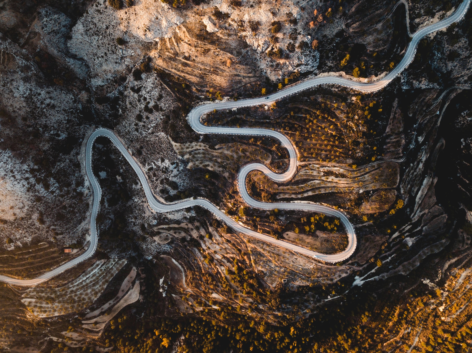 Jack Anstey ZS4lUqLEiNA Unsplash startups pendant la crise
