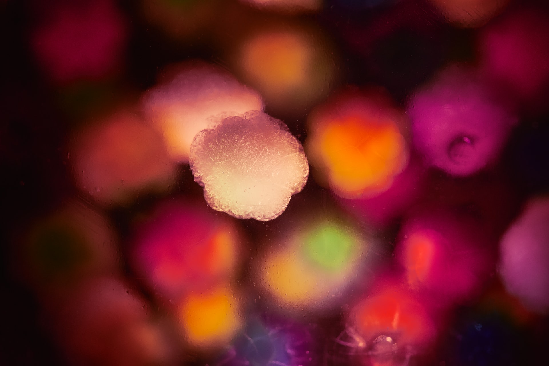 Landon Arnold R7xhMy C4 Unsplash Landon Arnold R7xhMy C4 Unsplash