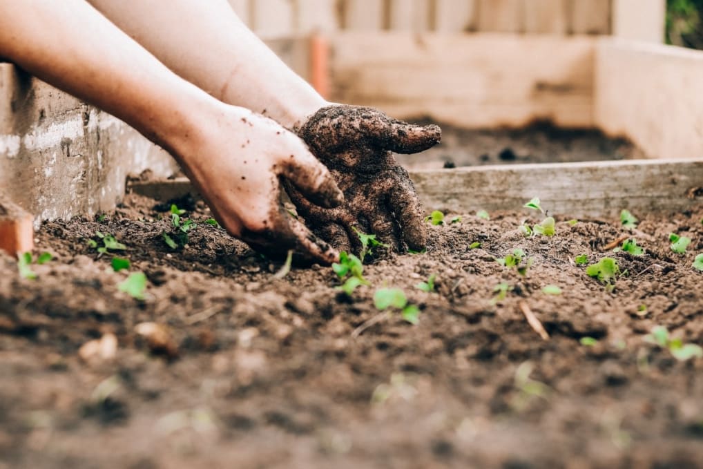 ManoMano va afficher un "Carbon Score" sur son site - Entreprises - Ekopo.fr